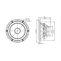 SB Acoustics 6½” SATORI MR16PNW-4