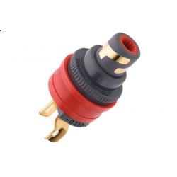 WBT-0210 Cu Nextgen Topline Gniazdo RCA 2 szt.